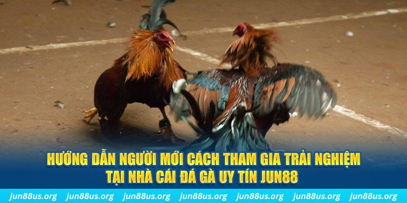 bj88 thomo CQ9 Điện Tử