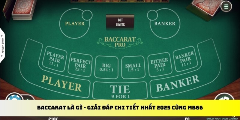 bj88 thomo gà chọi cu cần