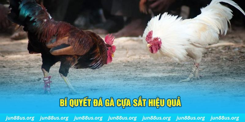 bj88 thomo xin 1 slot là gì