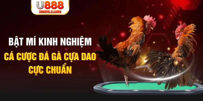 bj88 thomo tỷ lệ cá cược châu á là gì