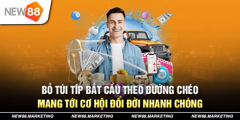 bj88 thomo 789bet có bao nhiêu sảnh game bài 3d ？
