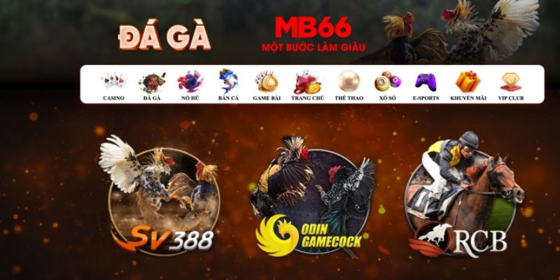 bj88 thomo đăng nhập poker số 1