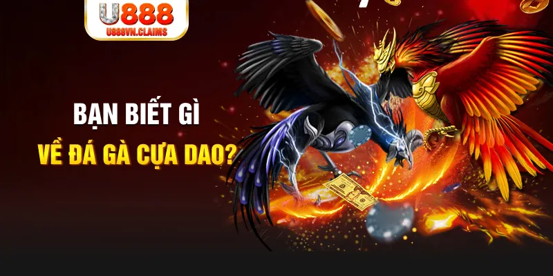 bj88 thomo nổ hủ là gì