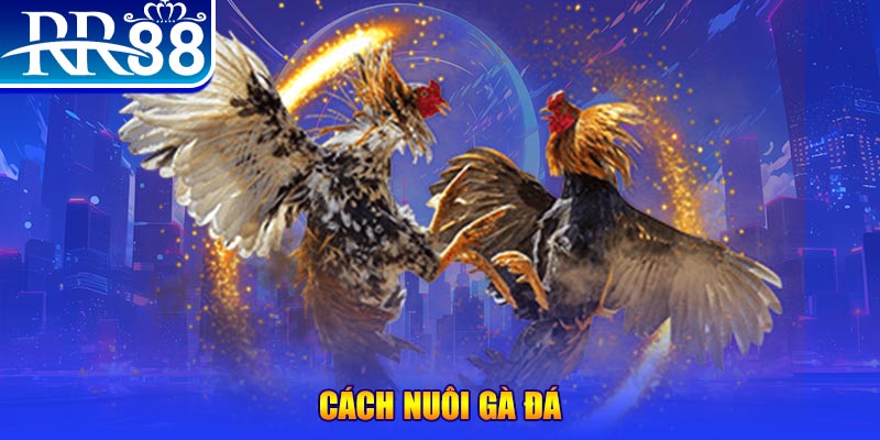 bj88 thomo xổ số an giang