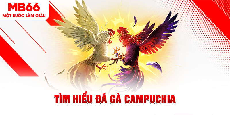 bj88 thomo game đánh bài trên máy tính