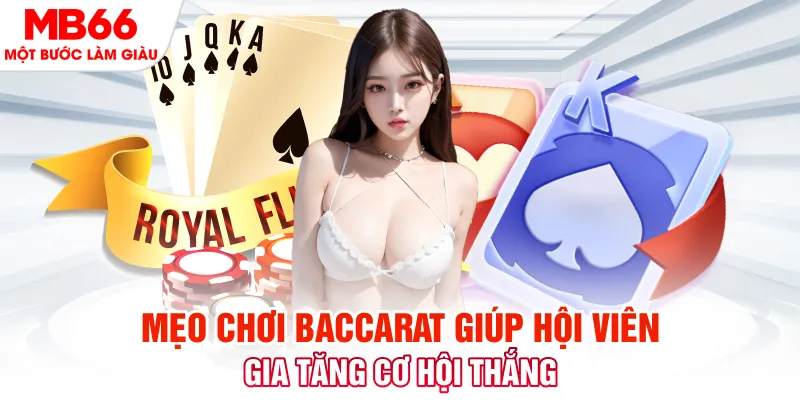 bj88 thomo Phi Đội Ưu Tú