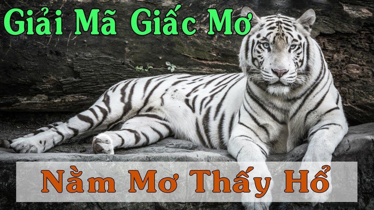 bj88 thomo what is a no wagering casino