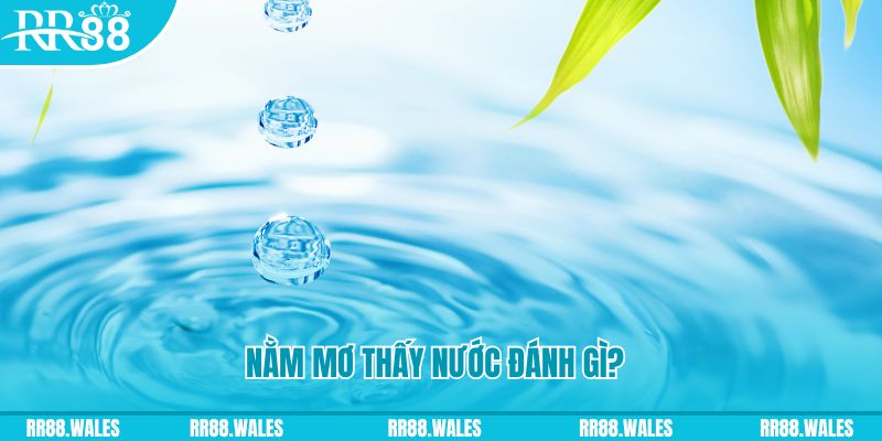 bj88 thomo TP Bắn cá