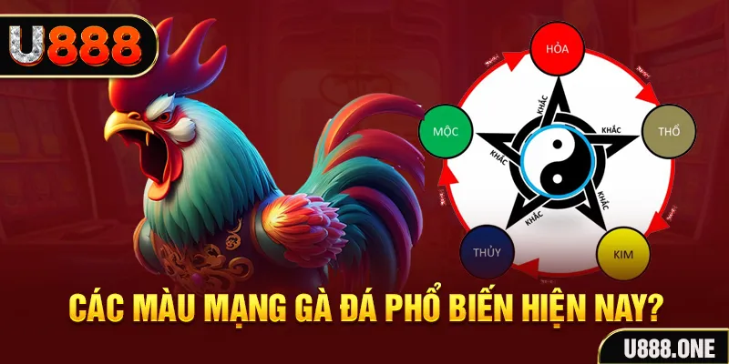 bj88 thomo trực tiếp đá gà 88
