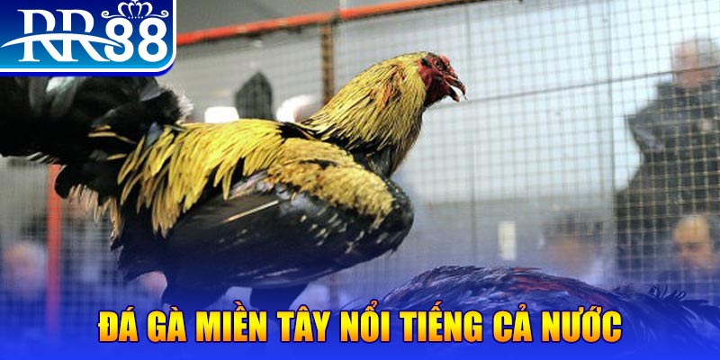 bj88 thomo JILI Game Bài 3d