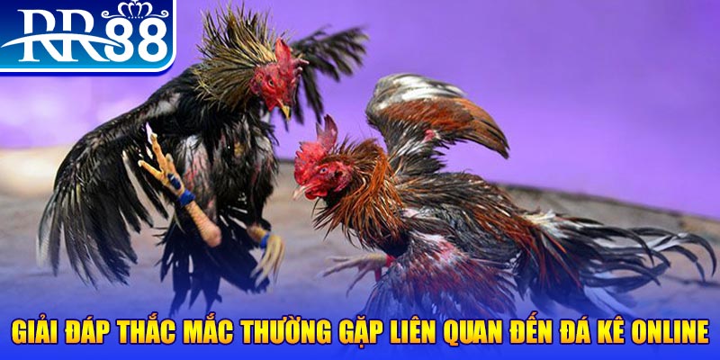 bj88 thomo slot machine là gì