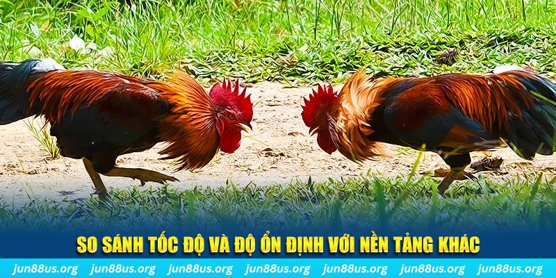 bj88 thomo đá gà hôm nay