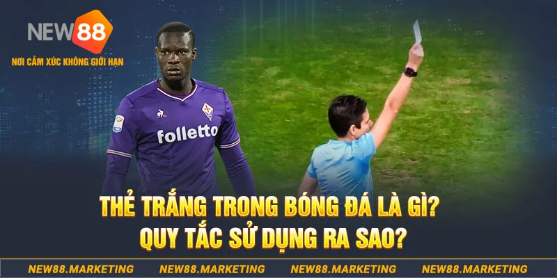 bj88 thomo gà chọi mộc hóa