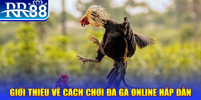 bj88 thomo game nổ hũ rút tiền mặt là gì