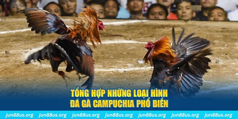 bj88 thomo đăng nhập nổ hũ 2024