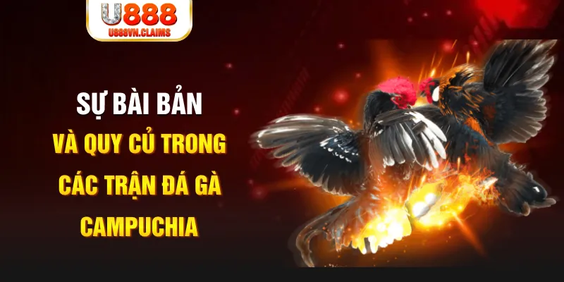 bj88 thomo YGR Điện Tử