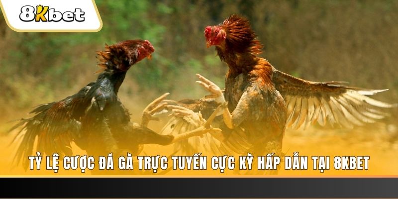 bj88 thomo xổ số trực tiếp miền bắc