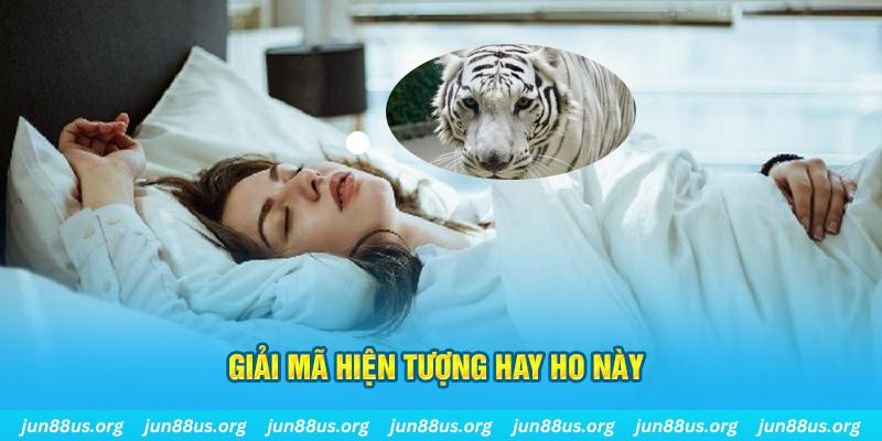 bj88 thomo đăng nhập nổ hũ uy tín