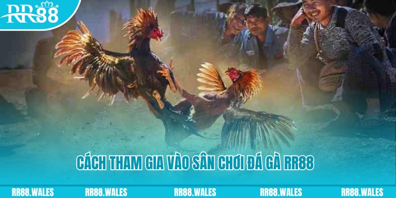 bj88 thomo chơi nổ hũ kiêng kỵ gì