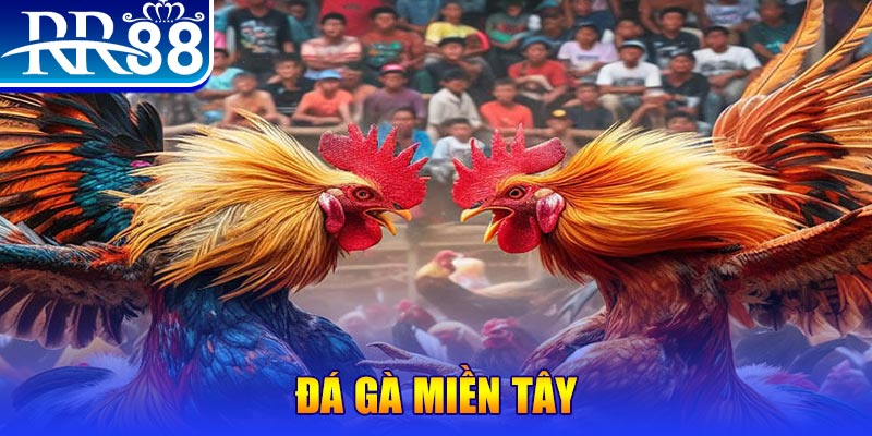bj88 thomo chơi slot là gì
