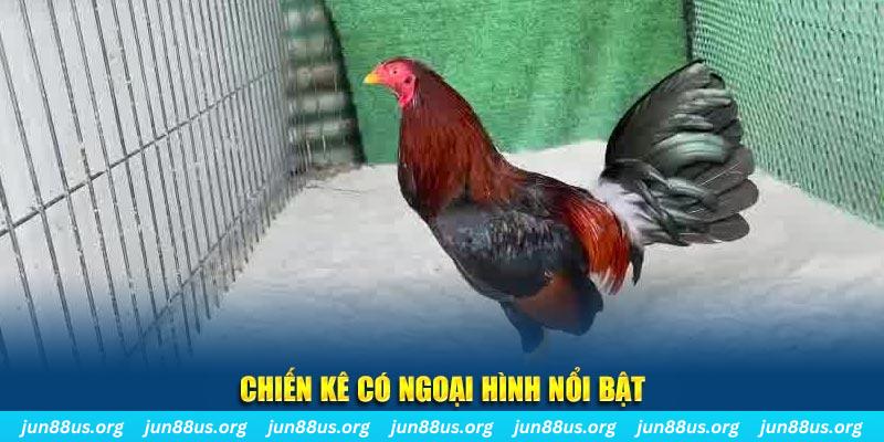 bj88 thomo chạy quảng cáo cho game bài bị phạt như thế nào