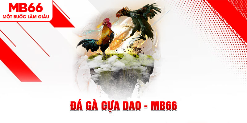 bj88 thomo đá gà sv388 gold