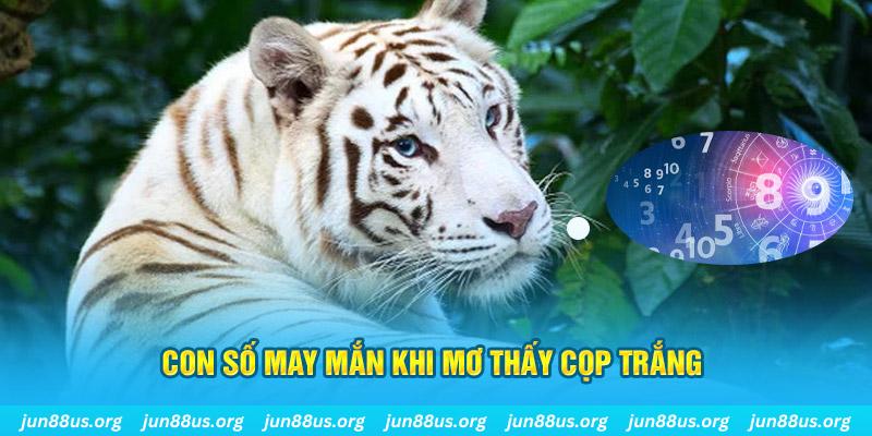 bj88 thomo đá gà trực tiếp 88